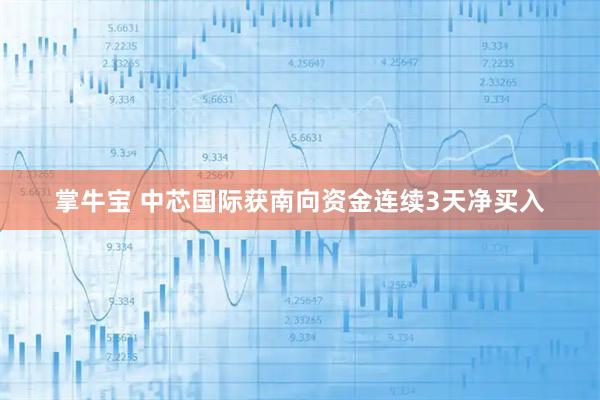 掌牛宝 中芯国际获南向资金连续3天净买入