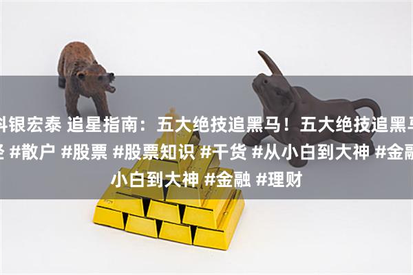 科银宏泰 追星指南：五大绝技追黑马！五大绝技追黑马！#财经 #散户 #股票 #股票知识 #干货 #从小白到大神 #金融 #理财