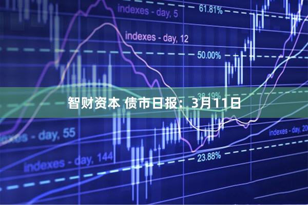 智财资本 债市日报：3月11日