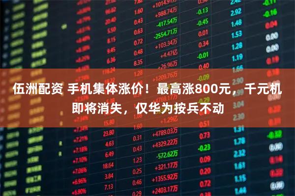 伍洲配资 手机集体涨价！最高涨800元，千元机即将消失，仅华为按兵不动