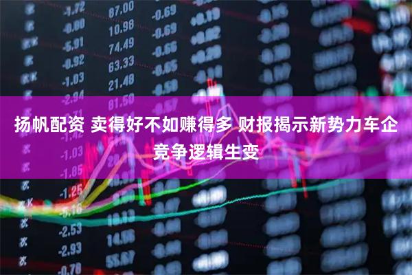 扬帆配资 卖得好不如赚得多 财报揭示新势力车企竞争逻辑生变